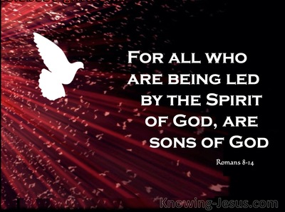 Romans 8:14 Those Led By The Spirit Are Sons Of God (maroon)